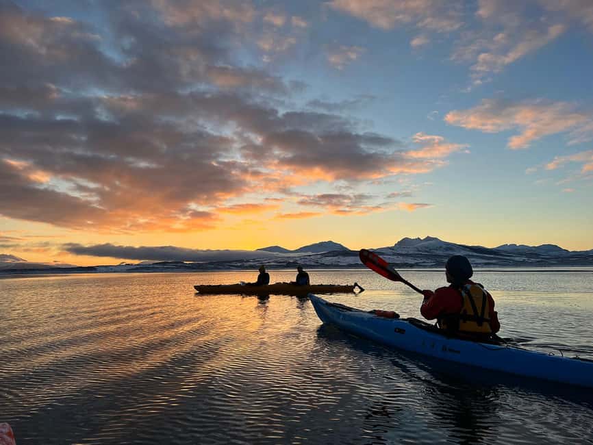 Tromsø: Winter Sea Kayaking Tour with Wildlife Sightings - Who this tour is perfect for (and who should skip it)