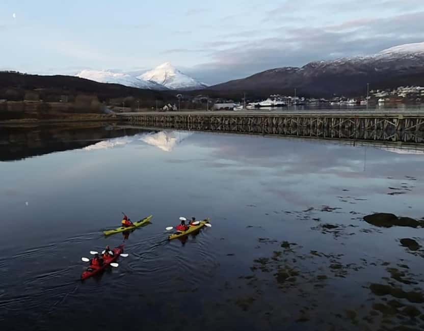 Tromsø: Winter Sea Kayaking Tour with Wildlife Sightings - Should you book Tromsø winter sea kayaking?