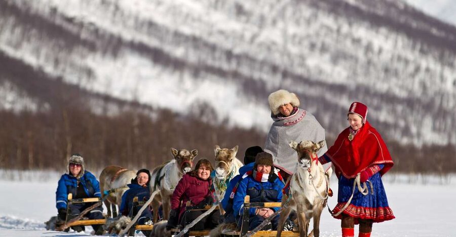 True Locals of the Arctic: Reindeer Sledding at Camp Tamok - Price and value: what you’re paying for at $303 per person