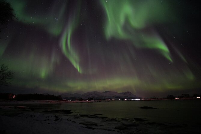 Watching The Aurora Dance - Who this trip is best for (and who should temper expectations)