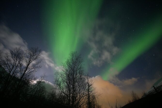 Watching The Aurora Dance - Price and value: what about $167.36 really covers
