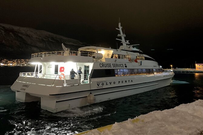 Whale Safari in Tromso - Whales you might spot: orcas, humpbacks, and what affects sightings