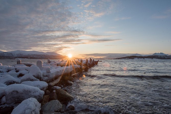 Winter Fjord Road Trip with Wandering Owl - Wildlife spotting that feels like a study, not a gimmick
