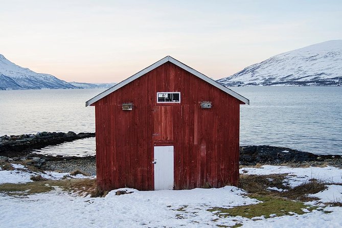 Winter Fjord Road Trip with Wandering Owl - Kvaløya in winter: why the timing matters